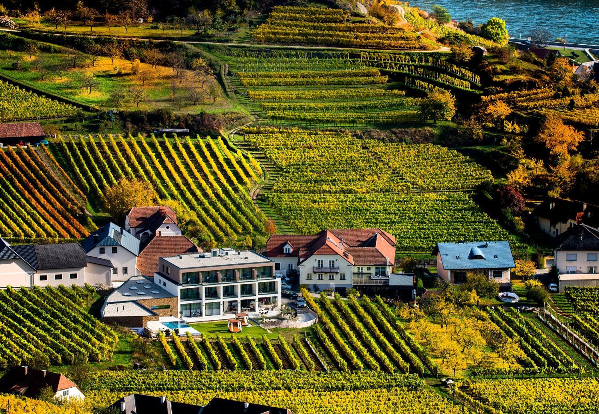 Weingut Donabaum "In Der Spitz" Leilighet Spitz an der Donau Rom bilde