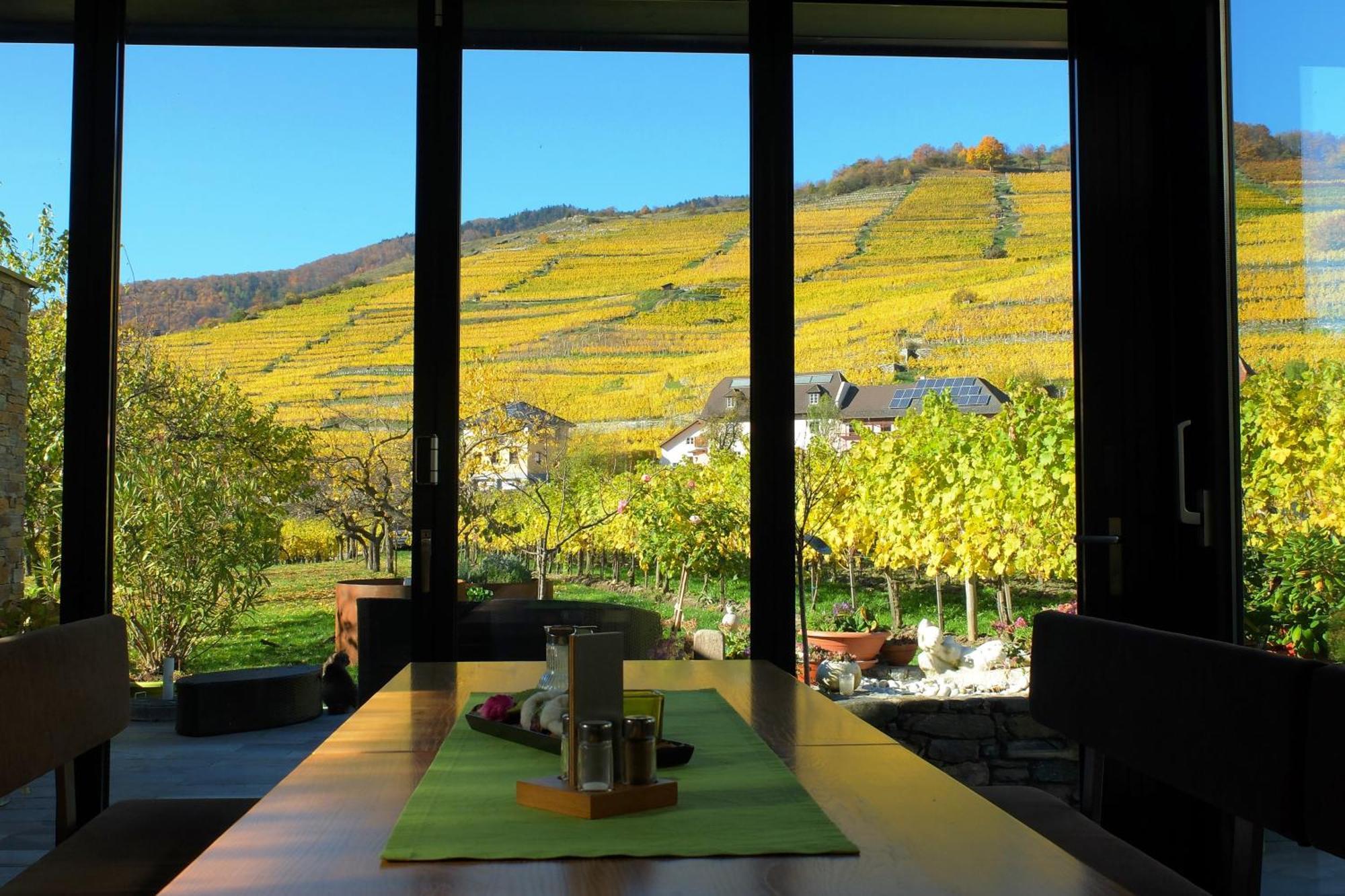 Weingut Donabaum "In Der Spitz" Leilighet Spitz an der Donau Rom bilde