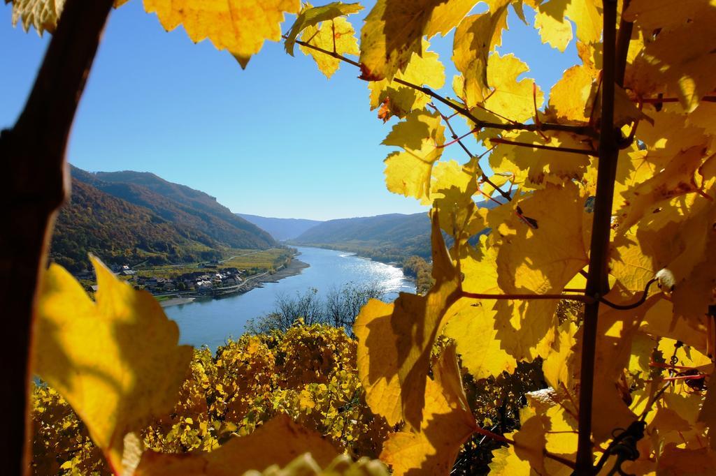 Weingut Donabaum "In Der Spitz" Leilighet Spitz an der Donau Eksteriør bilde
