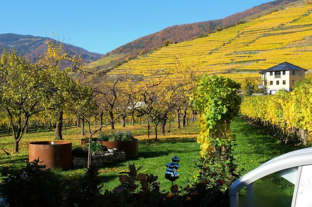 Weingut Donabaum "In Der Spitz" Leilighet Spitz an der Donau Eksteriør bilde