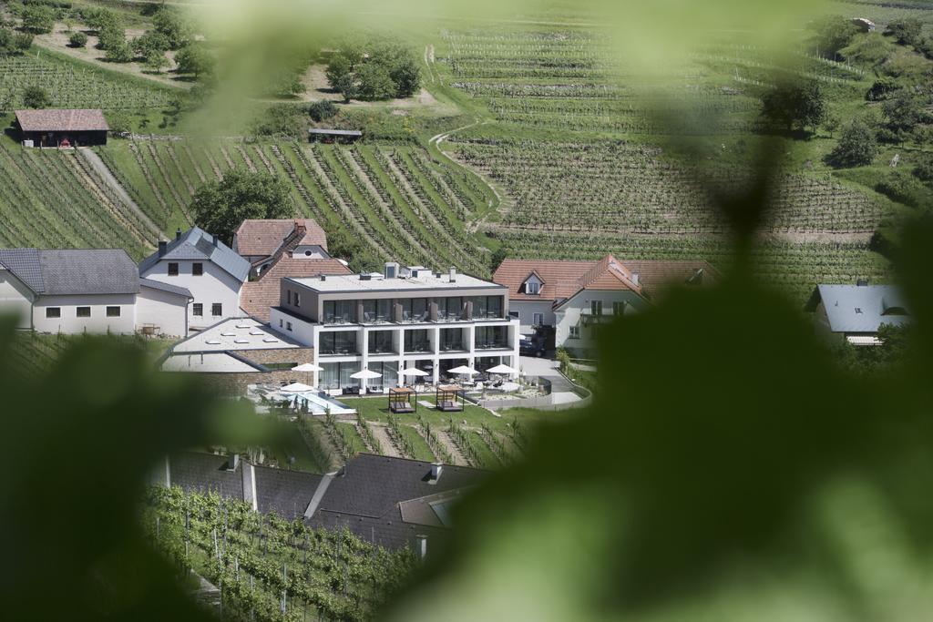 Weingut Donabaum "In Der Spitz" Leilighet Spitz an der Donau Eksteriør bilde