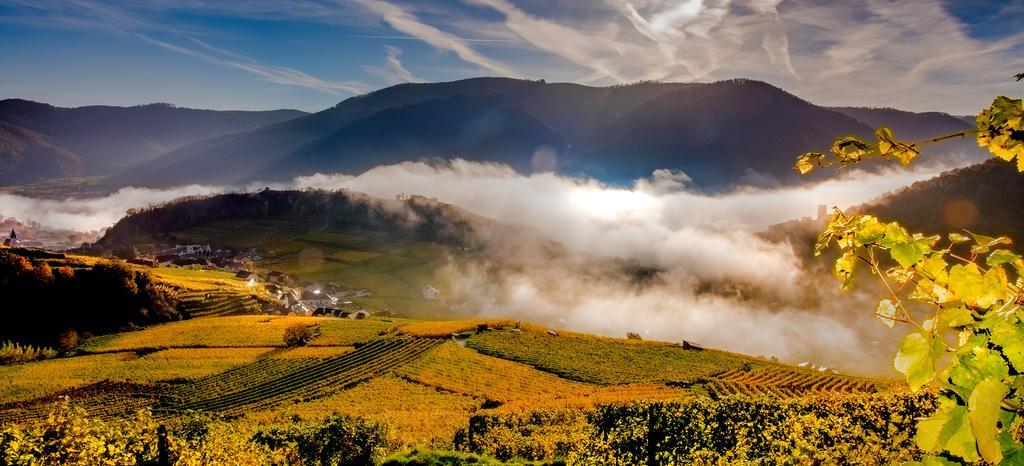 Weingut Donabaum "In Der Spitz" Leilighet Spitz an der Donau Eksteriør bilde