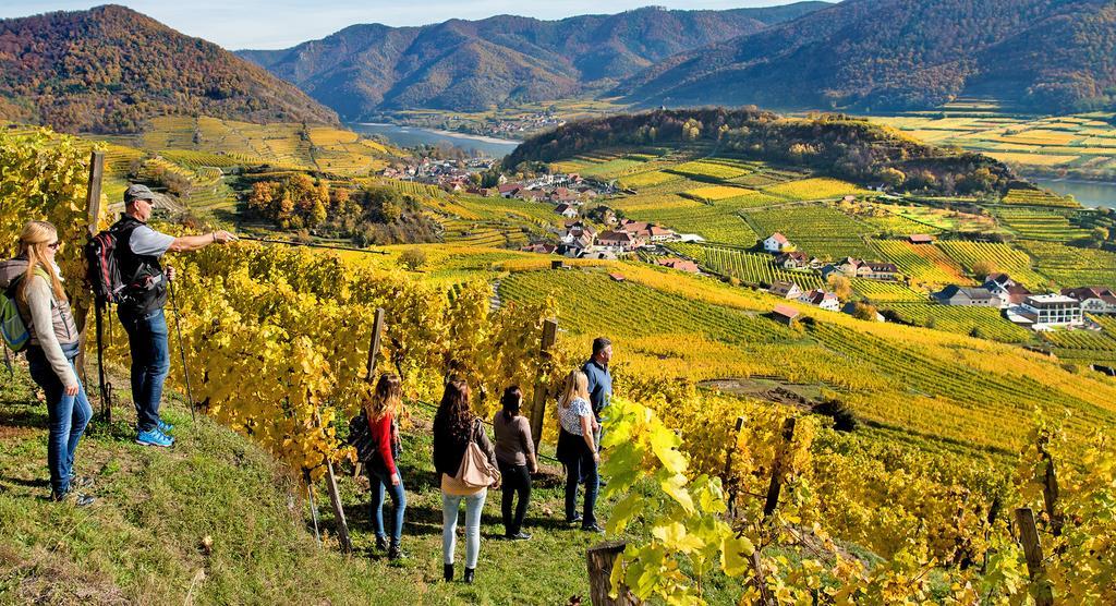 Weingut Donabaum "In Der Spitz" Leilighet Spitz an der Donau Eksteriør bilde