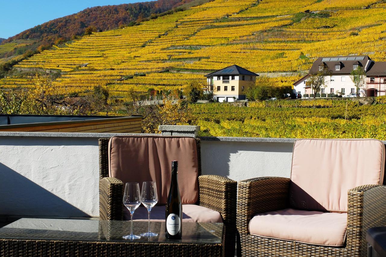 Weingut Donabaum "In Der Spitz" Leilighet Spitz an der Donau Eksteriør bilde